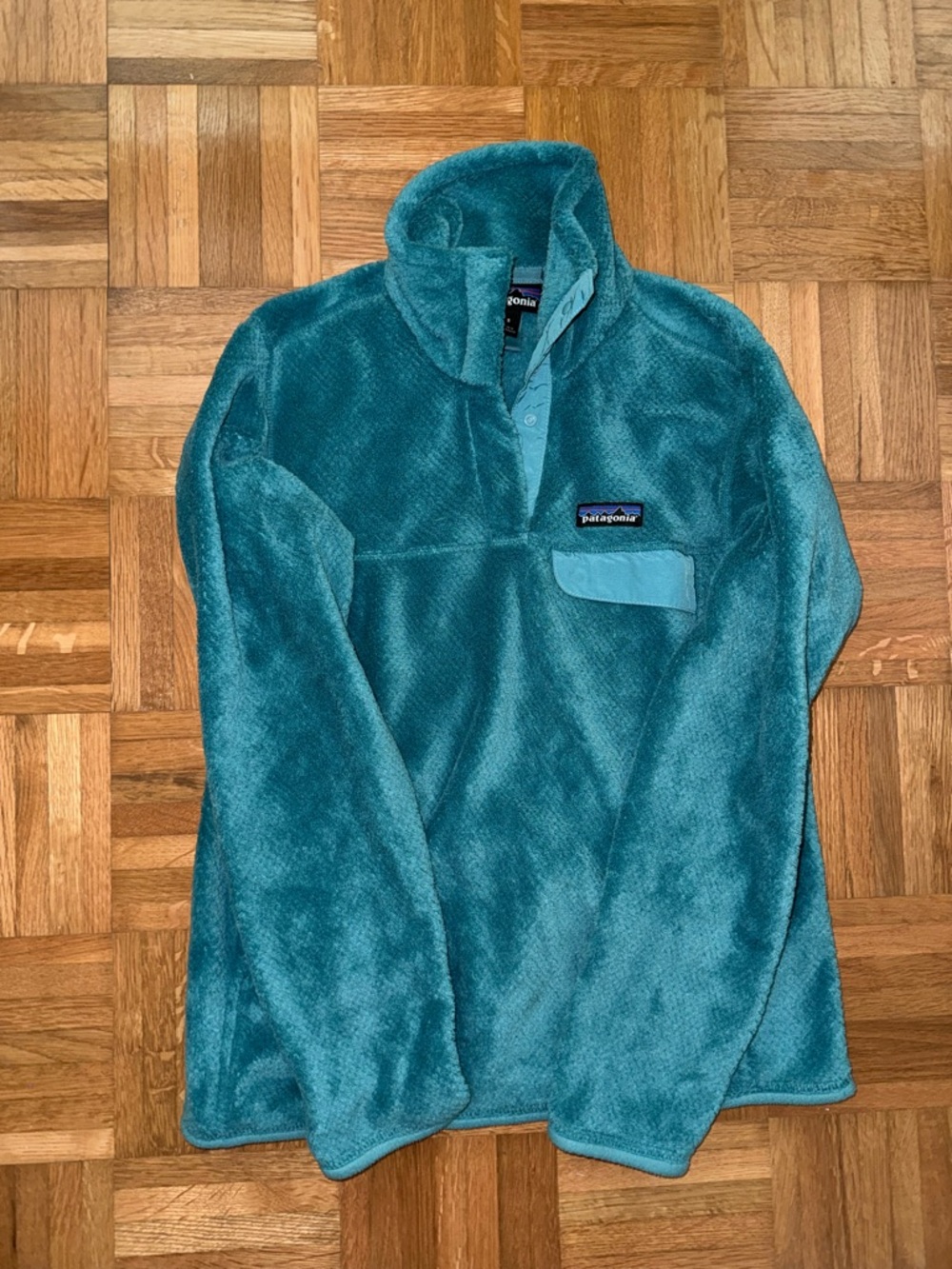 Patagonia Teal Fleece Pullover Jacket